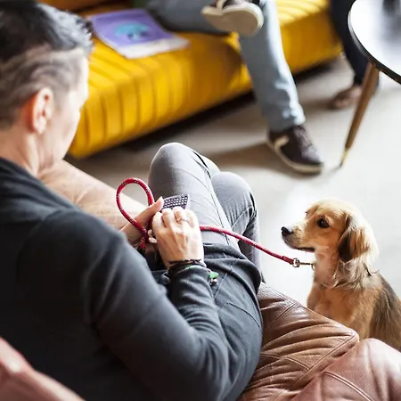 The Social Hub Отель 3*