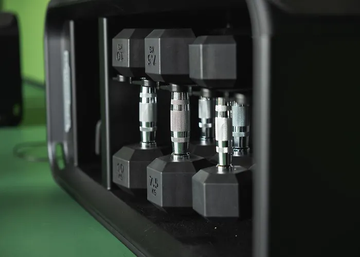 The Social Hub Ρότερνταμ