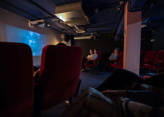 Отель The Social Hub