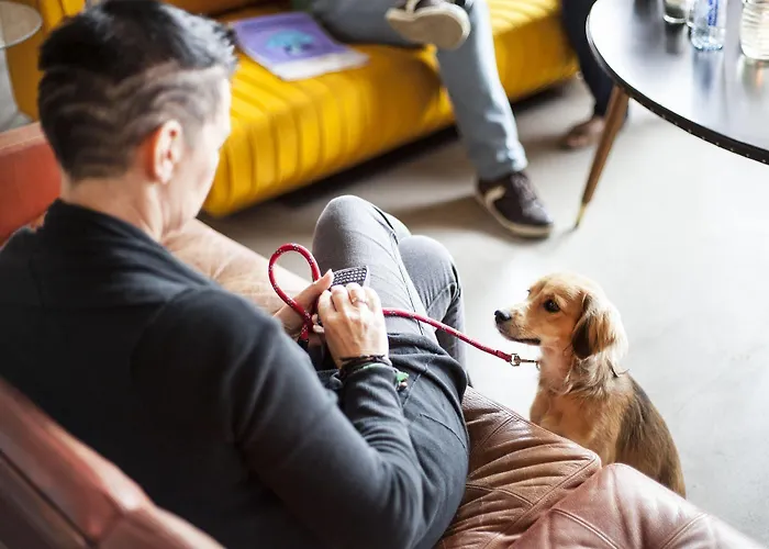 The Social Hub Отель 3*